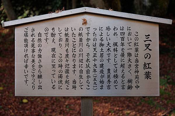 304 御土居 47.jpg