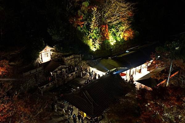 106 清水寺夜景 21.jpg