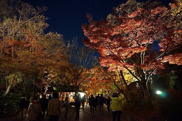 106 清水寺夜景 44.jpg