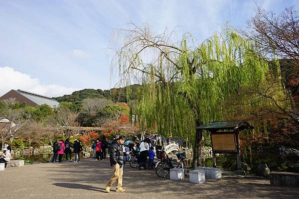 609 円山公園 05.jpg