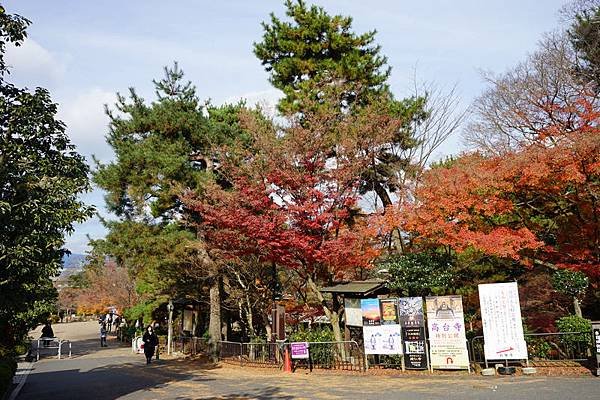609 円山公園 01.jpg