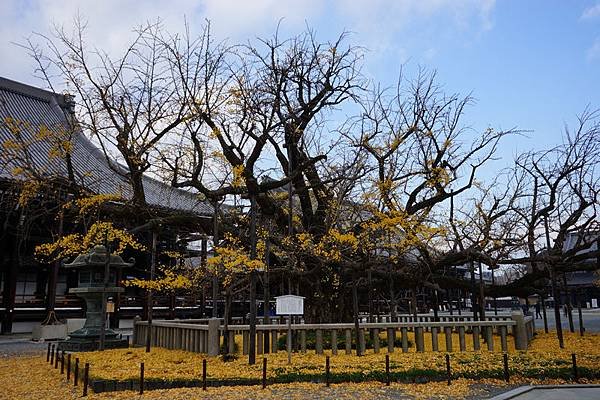 701 西本願寺 15.jpg