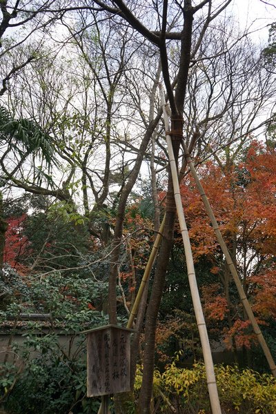 702 宗像神社 06.jpg