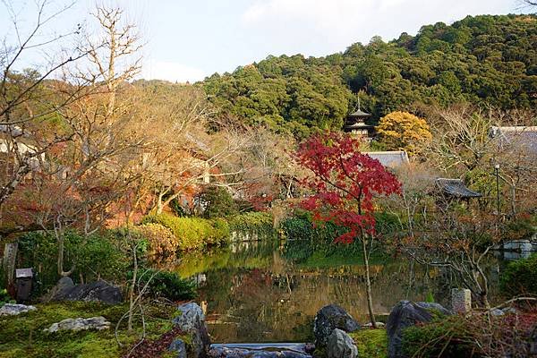 710 永觀堂禪林寺 59.jpg