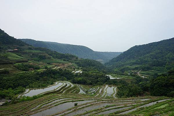 石門嵩山梯田 02.jpg