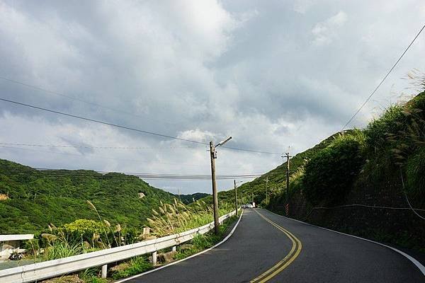 草里 11.jpg