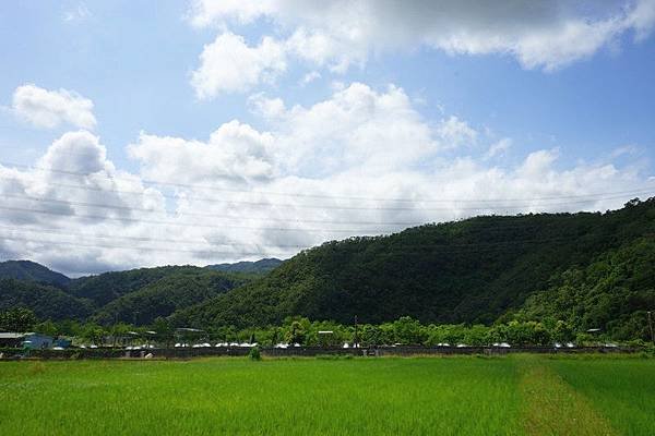 內城 51.jpg