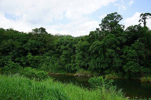 雙溪上林親水公園 04.jpg