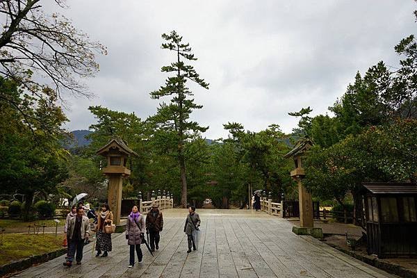 703 出雲大社 12.jpg