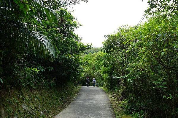 草嶺古道 10.jpg