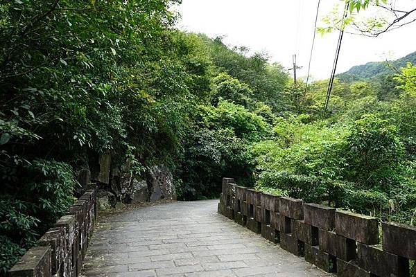 草嶺古道 14.jpg