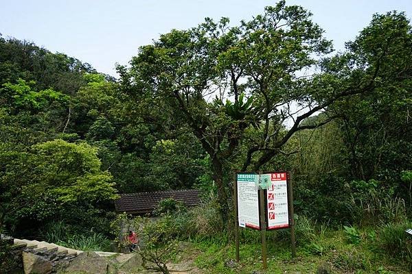 草嶺古道 49.jpg