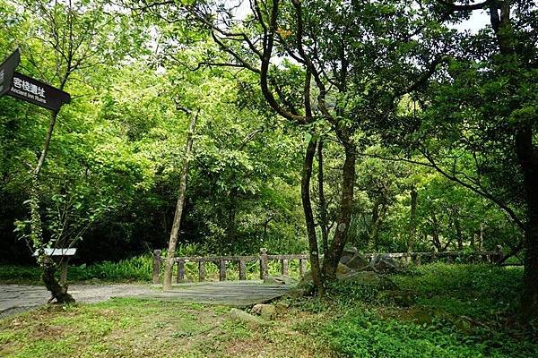 草嶺古道 117.jpg