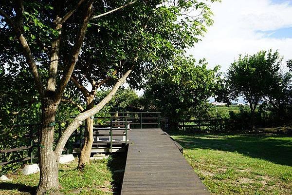 關渡自然公園 32.jpg