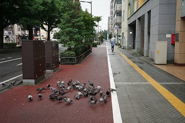B02 仙台街景 07.jpg