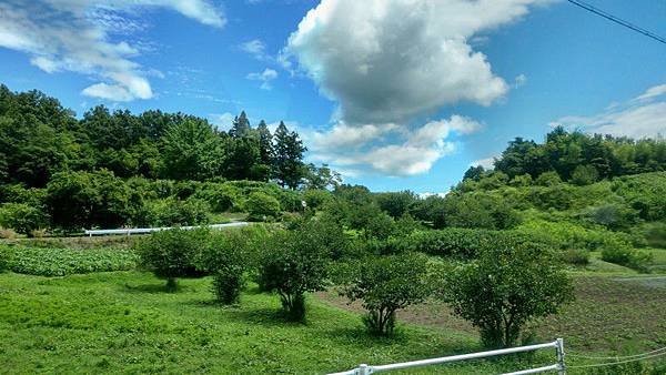C03 公車 JR福島 - 飯館村 04.jpg
