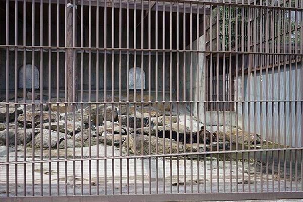 D06 東北野生動物園 56.jpg