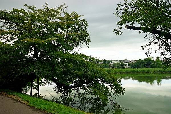 F13 五百淵公園 21.jpg