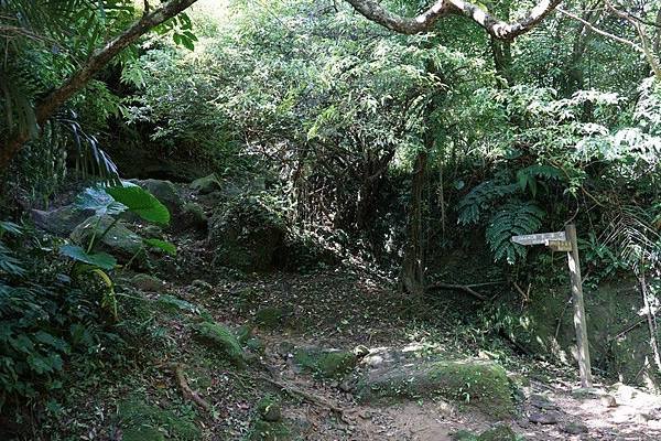 三貂嶺瀑布群步道 127.jpg