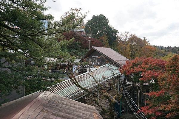 B06 高尾山 15.jpg