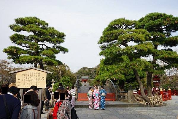 D08 鶴岡八幡宮 31.jpg
