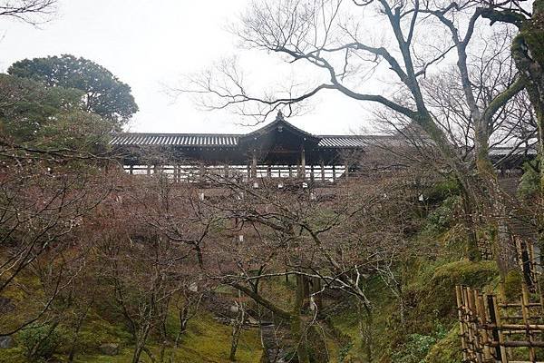 B09 東福寺通天橋、開山堂、普門院 06.jpg