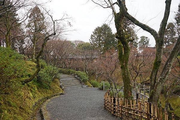 B09 東福寺通天橋、開山堂、普門院 05.jpg