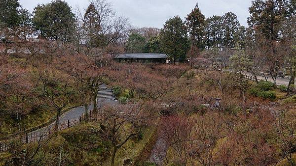 B09 東福寺通天橋、開山堂、普門院 11.jpg