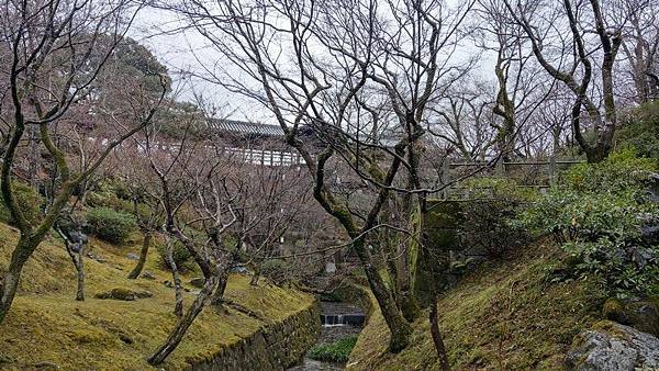 B09 東福寺通天橋、開山堂、普門院 09.jpg