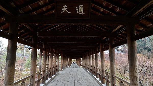 B09 東福寺通天橋、開山堂、普門院 10.jpg