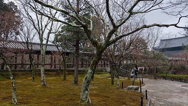 B09 東福寺通天橋、開山堂、普門院 13.jpg