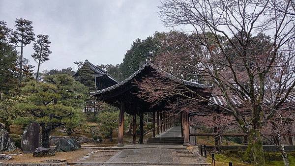 B09 東福寺通天橋、開山堂、普門院 15.jpg