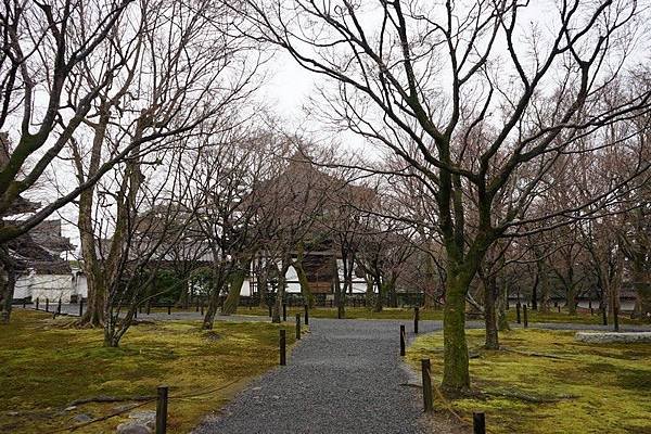 B09 東福寺通天橋、開山堂、普門院 03.jpg