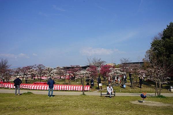D02 梅小路公園 03.jpg