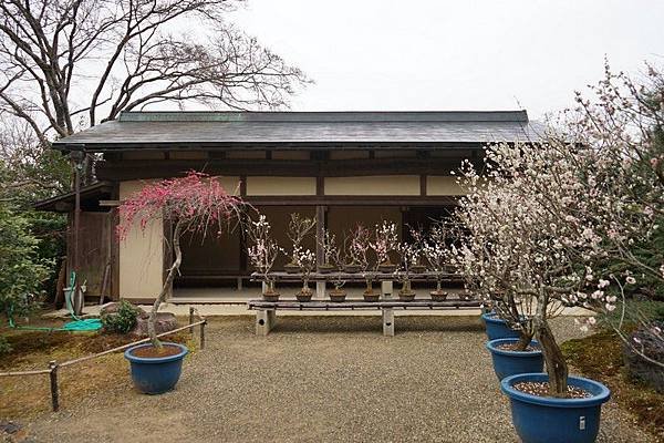 E14 常寂光寺 19.jpg