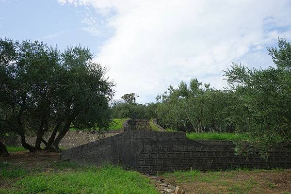 C08 小豆島橄欖公園 61.jpg