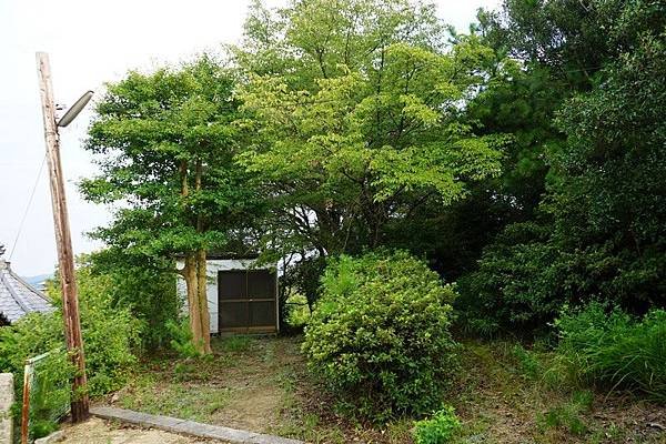 C10 小豆島天神神社 15.jpg