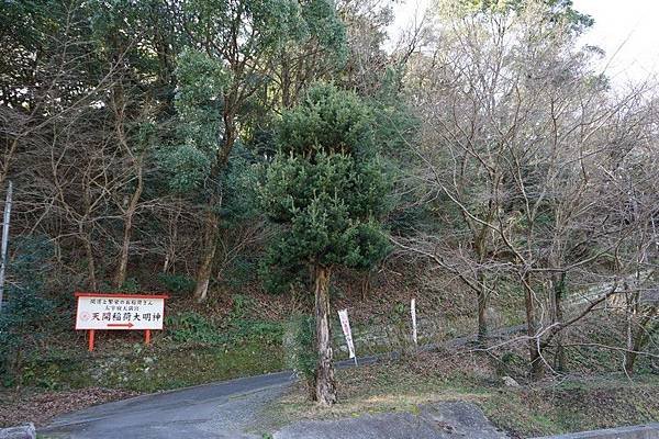 C08 天開稻荷社 23.jpg