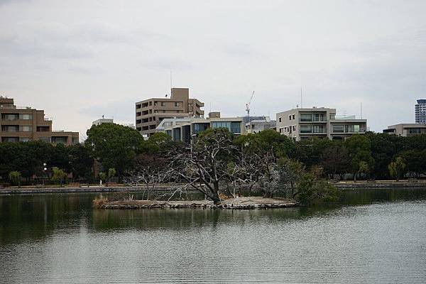 D19 大濠公園 70.jpg