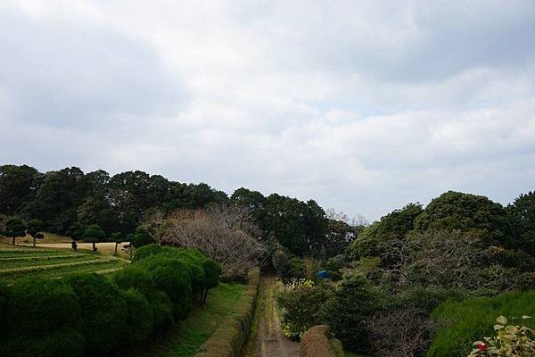 E12 能古島海島公園 - 槌球場 10.jpg