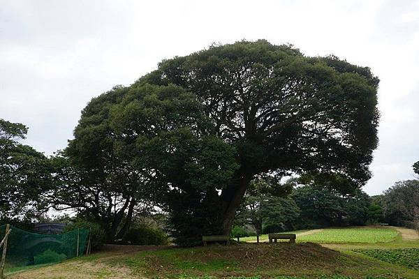 E12 能古島海島公園 - 槌球場 19.jpg