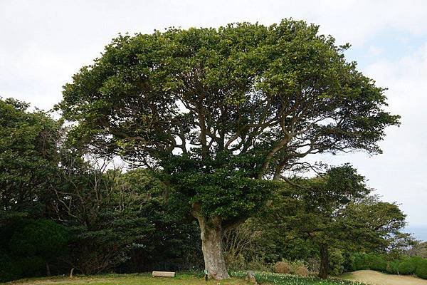 E12 能古島海島公園 - 槌球場 18.jpg