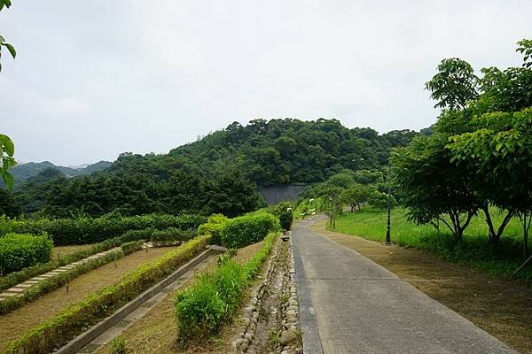 天外天復育公園 02.jpg