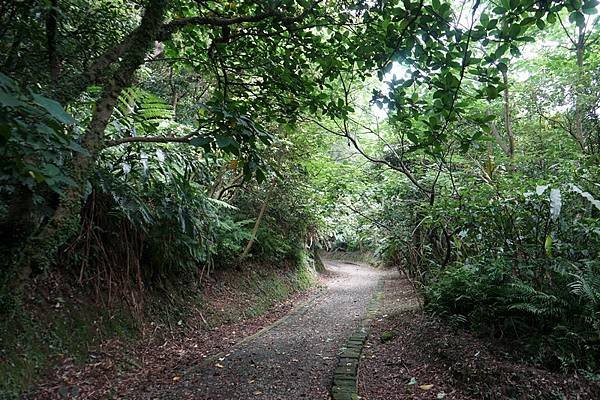 深澳坑側步道 14.jpg