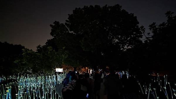 高雄燈會 - 衛武營園區（2022） 33.jpg