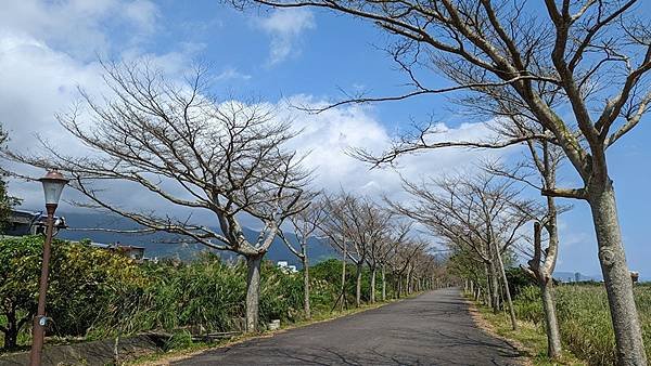 下埔綠色隧道 06.jpg