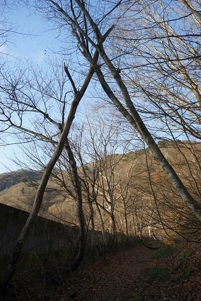 B05 國道291（土合 - 谷川岳登山指導センター） 28.jpg