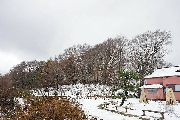 D11 彌彥山（登山纜車山頂站 - 彌彥神社奧宮）  02.jpg