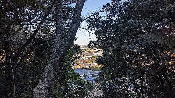 H07 佐原阿夫利神社 14.jpg