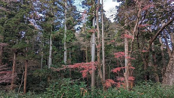 I2 成田山公園 15.jpg